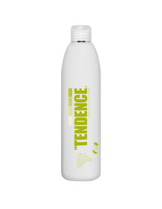 Shampoo Anti-Caspa 350ml TENDENCE Action