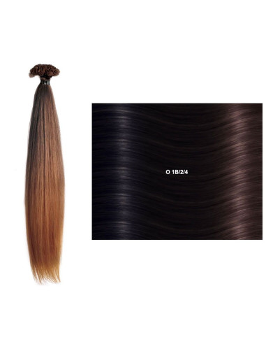 Extensões Lisas Ombré (55/60cm) com Queratina OL SHE Hair Extensions Extensões de Cabelo