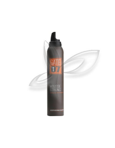 GATE 07 Espuma Forte 200ml EMMBI* GATE 01