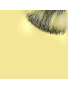 INOCOS Like Gel 165 amarillo pastel 11 ml 2