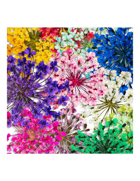 INOCOS FLORA flores secas para nail art, 12 colores