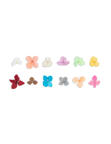 Flores secas para Nail Art  - Natura Lovers Wine Edition INOCOS INOCOS Nail Art