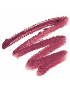 Andreia Silky Matte 01 Plum labial en barra 2