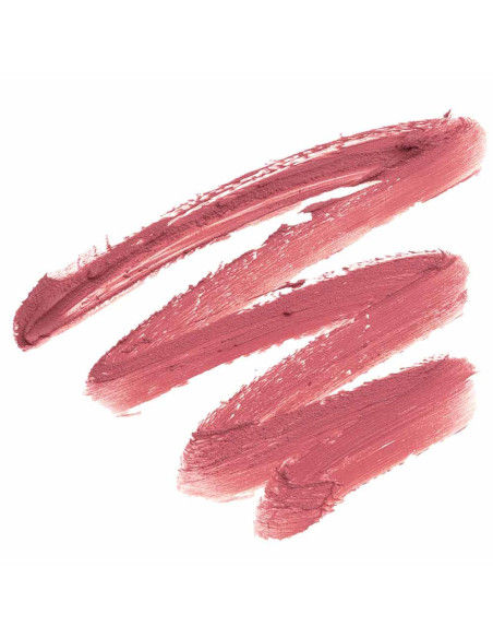 Batom Stick de Lábios Andreia Profissional Silky Matte 02 Mauve Rose