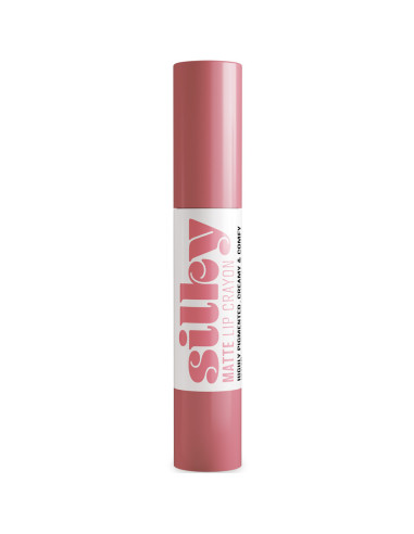 Batom Stick de Lábios Andreia Profissional Silky Matte 02 Mauve Rose