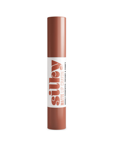 Batom Stick de Lábios Andreia Profissional Silky Matte 05 Cinnamon