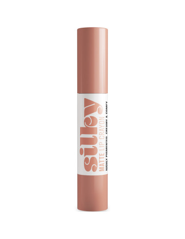 Batom Stick de Lábios Andreia Profissional Silky Matte 06 Nude Beige