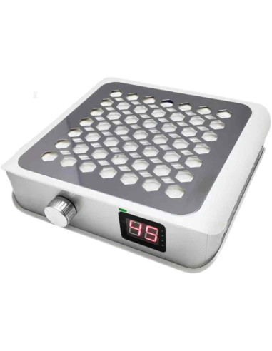 Aspirador de Polvo Excellent Pro 60w