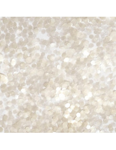 INOCOS Bioglitter 01 perla, 2,4 mm 2