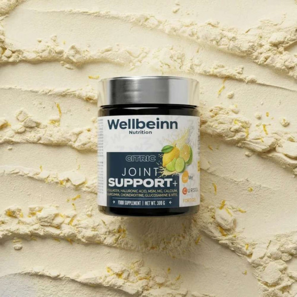 Wellbeinn Joint Support+ Fortigel y Ovomet limón 300 g