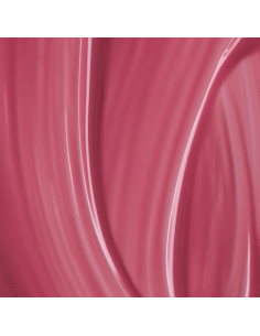 Andreia The Gel Polish PL1 Favoritos 2