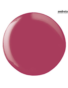 Andreia Hybrid Gel H19 Verniz Andreia Hybrid Gel 2