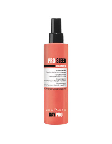 Spray Disciplinante 200ml - Pro Sleek - KayPro KAY SLEEK (Alisamento, Manutenção e Anti Frizz)