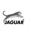 Pentes Jaguar