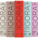 Igora